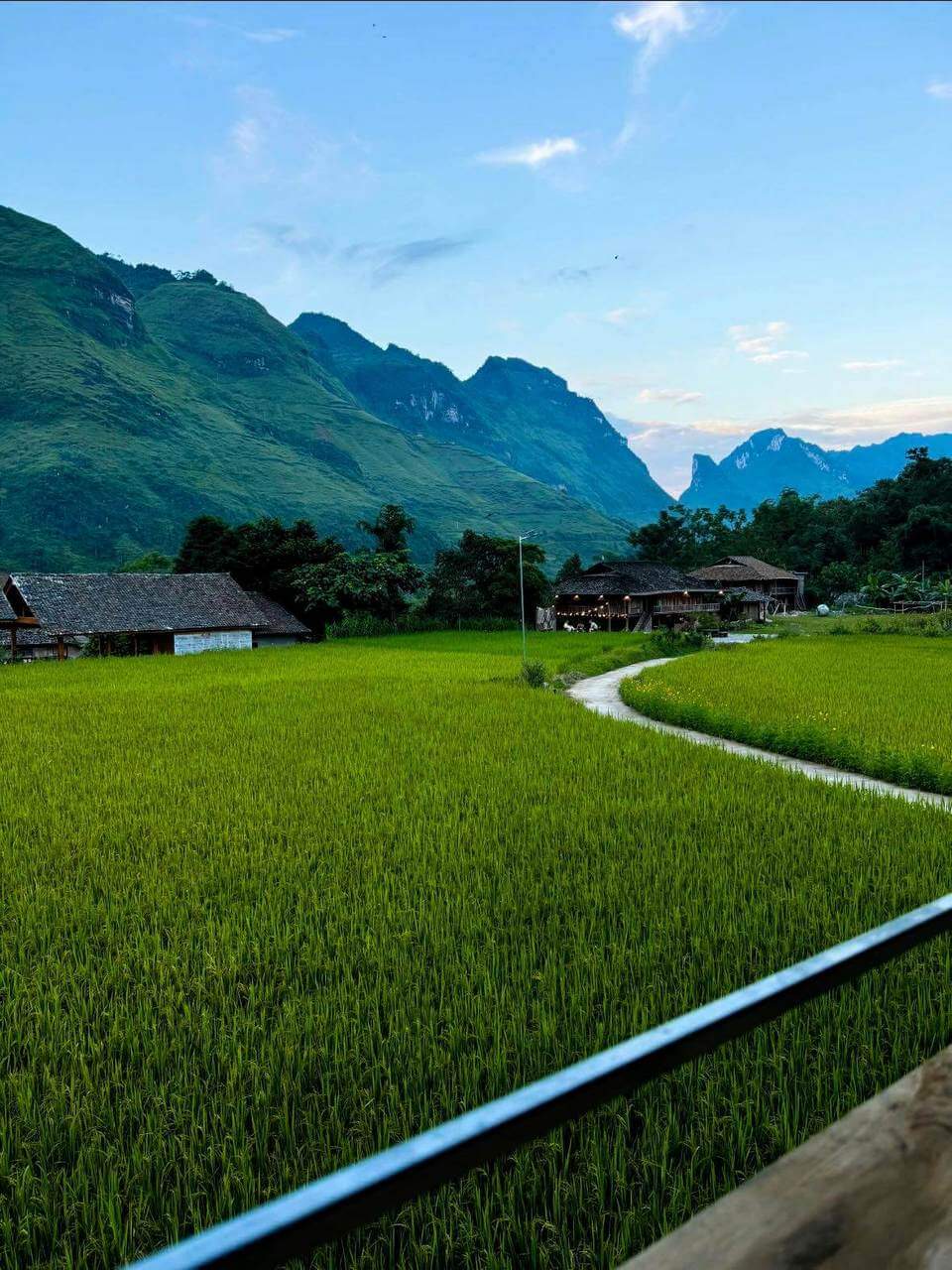 ha-giang-in-august-3
