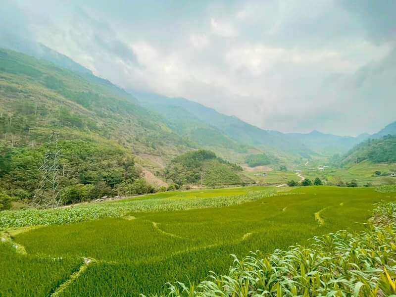 The Greening of the Valleys: A Sign of Spring