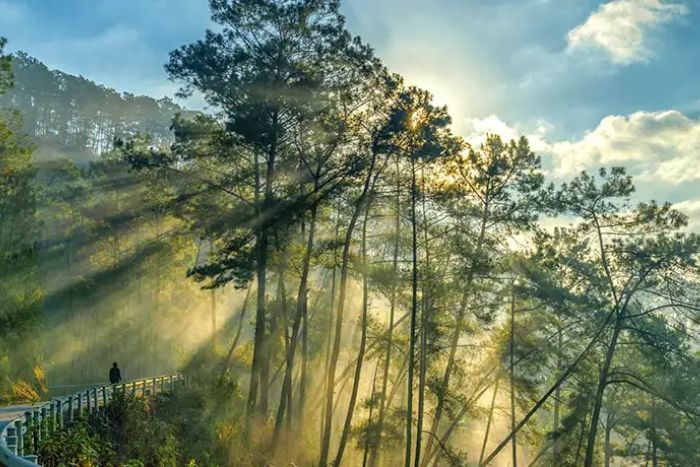 Scenic beauty along the Ha Giang motorbike route.