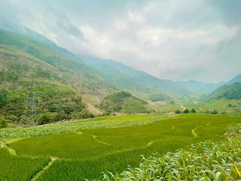 Green Season: The Lush Landscapes (July - August)